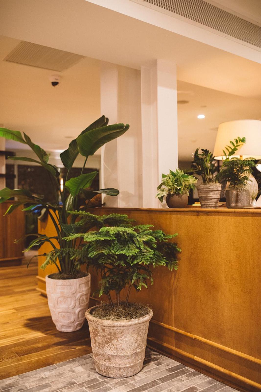 Hotel Emeline Charleston Luaran gambar