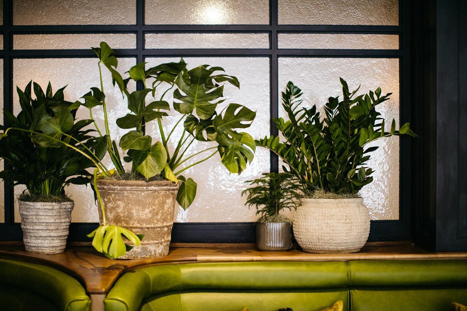 Hotel Emeline Charleston Luaran gambar
